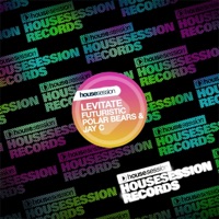 Levitate (Remixes) - Futuristic Polar Bears & Jay C