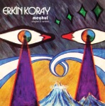 Erkin Koray - Meçhul (Unknown)