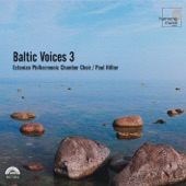 Baltic Voices 3 artwork