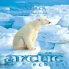Dan Gibson's Solitudes - Arctic Chill