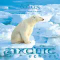 Arctic