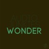 Audio Junkies - Wonder