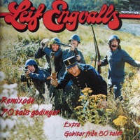 Jag har bara ett liv