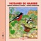 Calao de Monteiro (Monteiro's Hornbill) - Frémeaux Nature lyrics