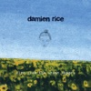 Damien Rice - Be My Husband