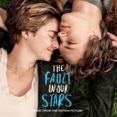 The Fault In Our Stars (Music From the Motion Picture) artwork