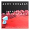 Our Robot Is Walking On Mars - Acos Coolkas lyrics