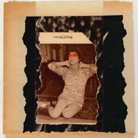 The Proper Ornaments - Recalling