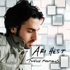 Twelve Mondays - Ari Hest