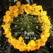 Harold Budd - A Walk in the Park with Nancy (In Memory)