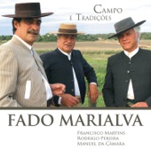 Campo e Tradições artwork