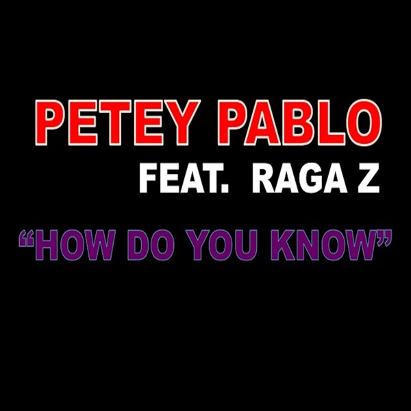 How Do You Know (feat. Raga Z) - Single - Petey Pablo