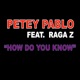 How Do You Know feat Raga Z Single