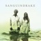 Currency - SanguinDrake lyrics