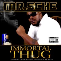 Immortal Thug - Mr. Sche