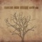 Always Gold (Acoustic Version) - Radical Face lyrics