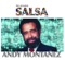 Canto Lo Que Siento - Andy Montañez lyrics