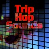Trip Hop Sounds artwork