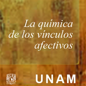 La química de los vínculos afectivos