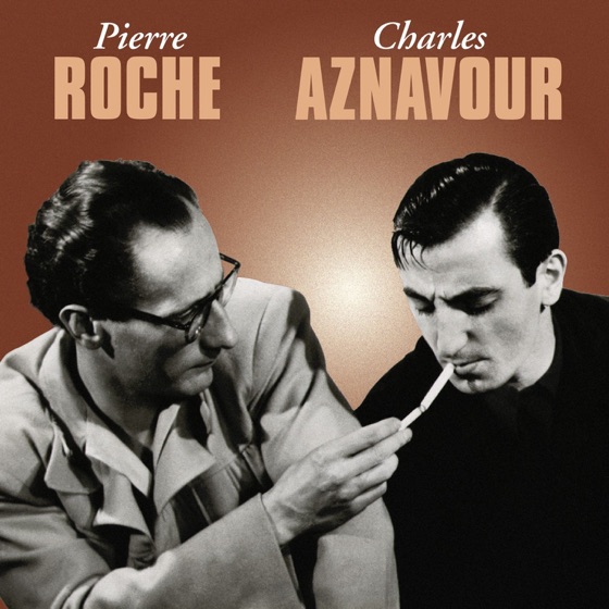 Cover artwork for Je suis amoureux