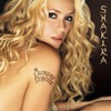 Shakira - Whenever wherever