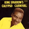 King Sparrow's Calypso Carnival artwork