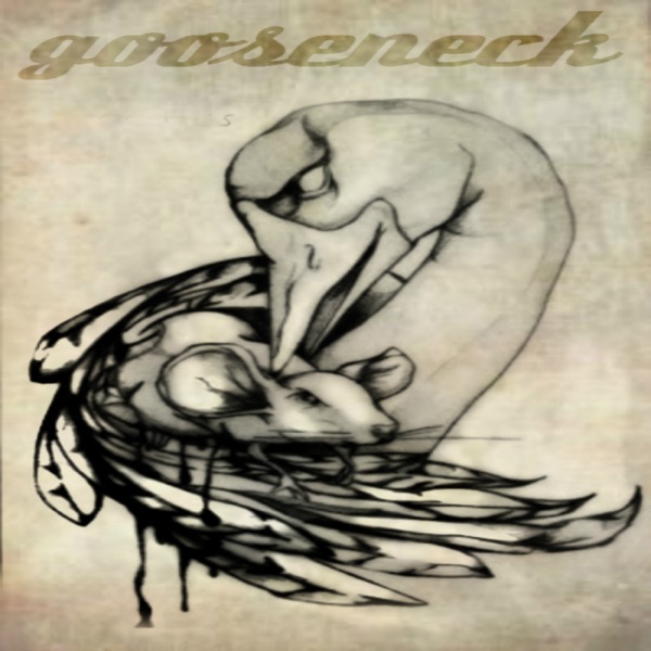 It's House - Single