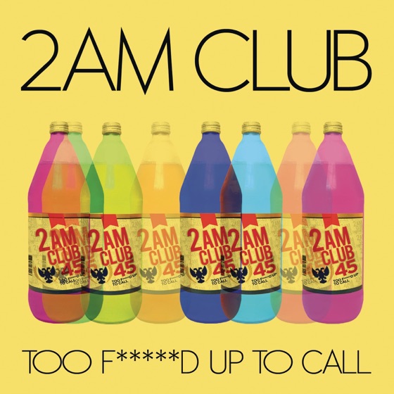 Cover artwork for Too Fucked Up To Call
