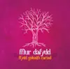 Ray O'r Mynydd