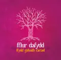 Ray O'r Mynydd