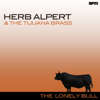 The Lonely Bull - Herb Alpert & The Tijuana Brass