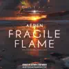Fragile flame (New World remix)