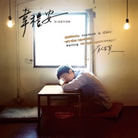 We'll Never Know - Single - WeiBird