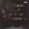 Plastic Messiah - Circus of Dead Squirrels lyrics