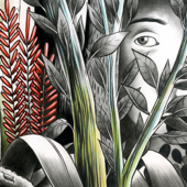 Rendez-nous la lumière