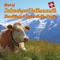 Im Waldheim (Polka) - Ländler-Quintett Echo vom Köhlberg lyrics