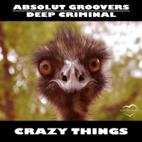 Crazy Things - Single - Absolut Groovers & Deep Criminal
