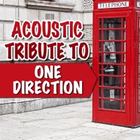 Acoustic Tribute to One Direction - Guitar Tribute Players