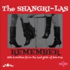 Remember (Hits and Rarities from the Bad Girls of 60S Pop) artwork