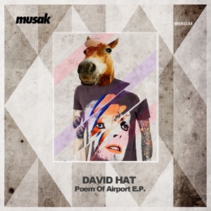 Poem of Airport - Single
