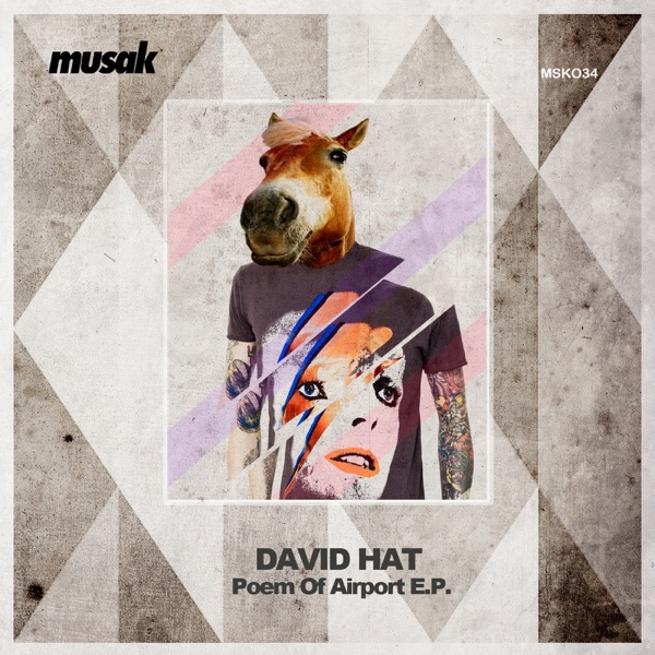 Poem of Airport - Single