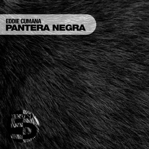 Pantera Negra