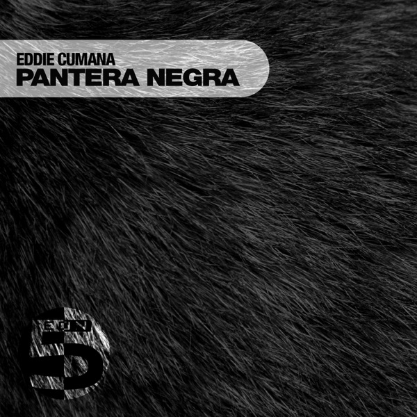 Pantera Negra