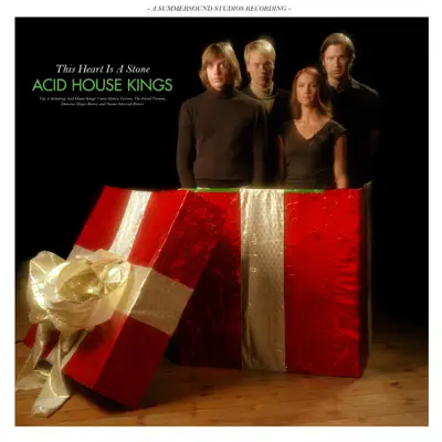 This Heart Is a Stone (Remixes), Vol. 2 - EP - Acid House Kings