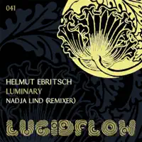 Luminary (Nadja Lind Sin Remix) — Helmut Ebritsch