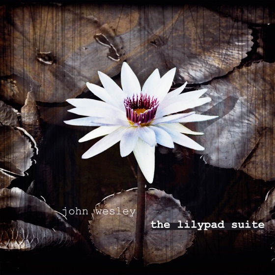 Cover artwork for An Elegant Mess