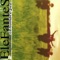 El Hombre Pez - Elefantes lyrics