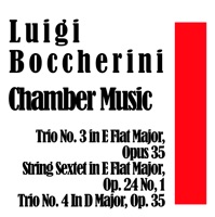 Boccherini Chamber Music - Walter Schneiderhan, London Baroque Ensemble, Karl Haas, Gustav Swoboda & Senta Benesch
