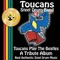 Here Comes the Sun - Toucans Steel Drum Band lyrics