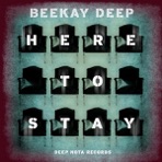 Here To Stay - Single